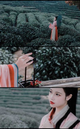  ɽ·Ԫ꣬մʪ