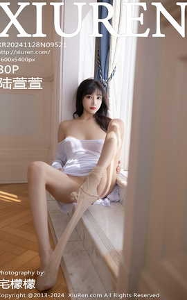 XIUREN 2024.11.28 VOL.9521 ½